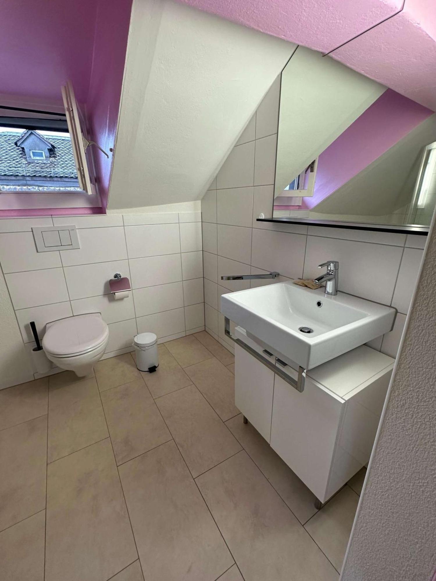 Hitrental Limmatquai Apartment Цюрих Екстер'єр фото